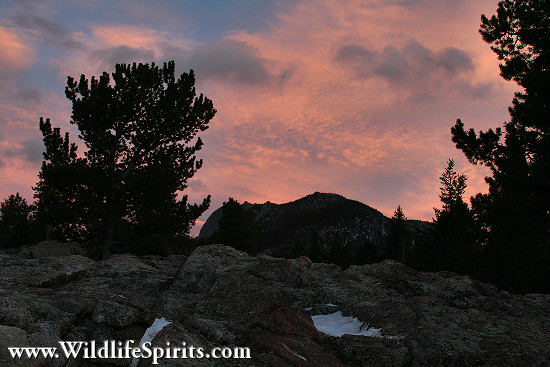 Click Picture to send as an  E-PostCard 64k 550x367